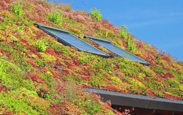 Sayers Common living roof systems