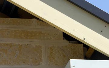 soffit repair Sayers Common