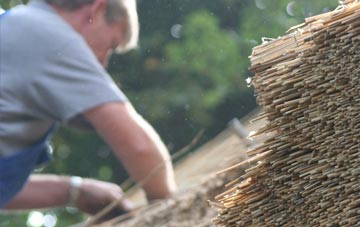 professional Sayers Common thatchers