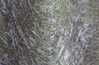 Sayers Common fibreglass roof work