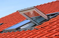 Sayers Common roof window